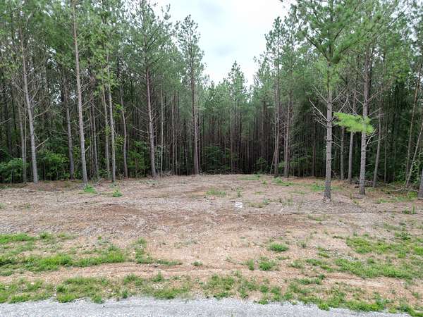 7 Acres of Residential Land for Sale in Linden, Tennessee