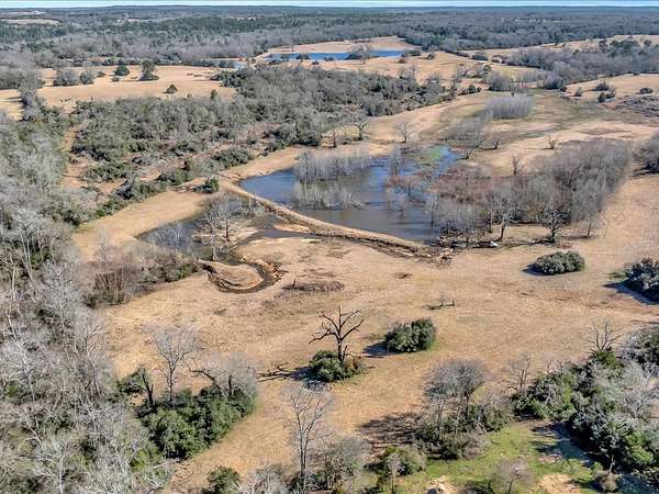 59 Acres of Land for Sale in Buffalo, Texas