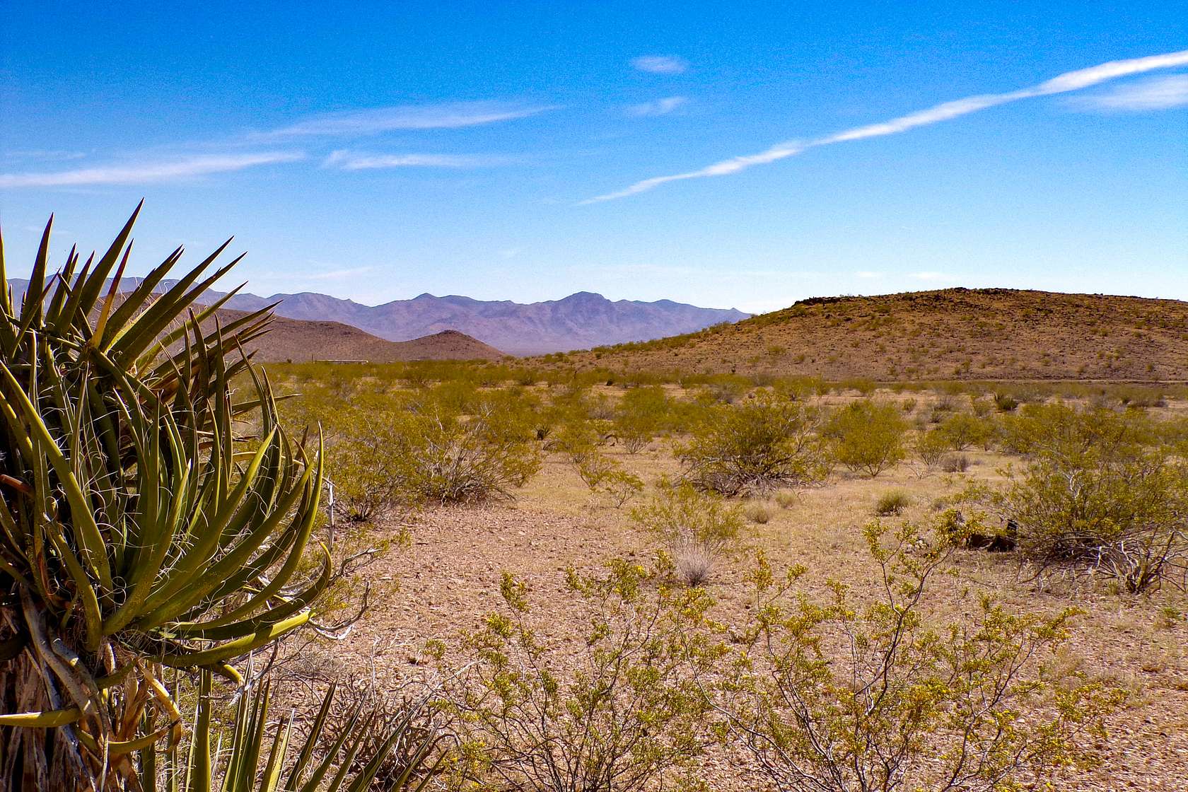 2.35 Acres of Residential Land for Sale in Golden Valley, Arizona
