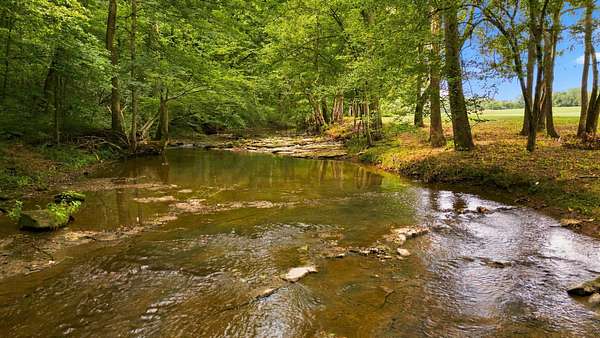 5 Acres of Residential Land for Sale in Dickson, Tennessee