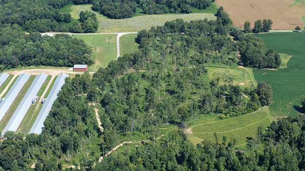 23.8 Acres of Recreational & Residential Land for Sale in Sedalia, Kentucky