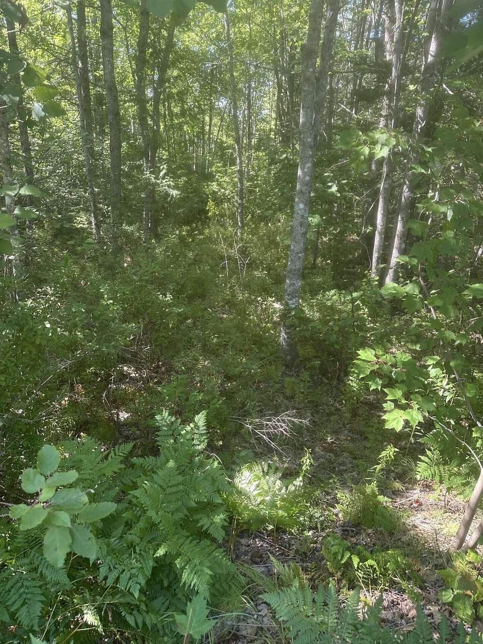 5.28 Acres of Residential Land for Sale in Steuben, Maine