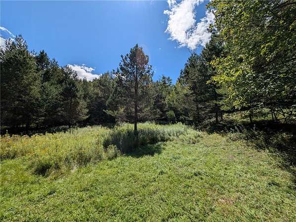 5.1 Acres of Improved Land for Sale in Jewett, New York