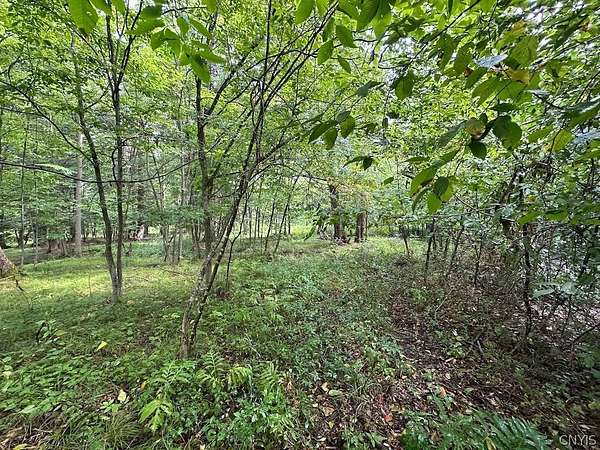 5 Acres of Land for Sale in Belmont, New York