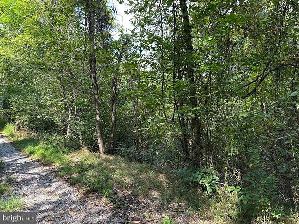 17.9 Acres of Recreational Land for Sale in Stanley, Virginia