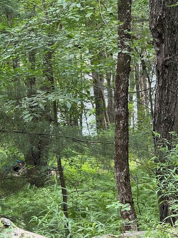 0.49 Acres of Residential Land for Sale in Deposit, New York