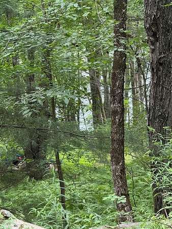 0.49 Acres of Residential Land for Sale in Deposit, New York