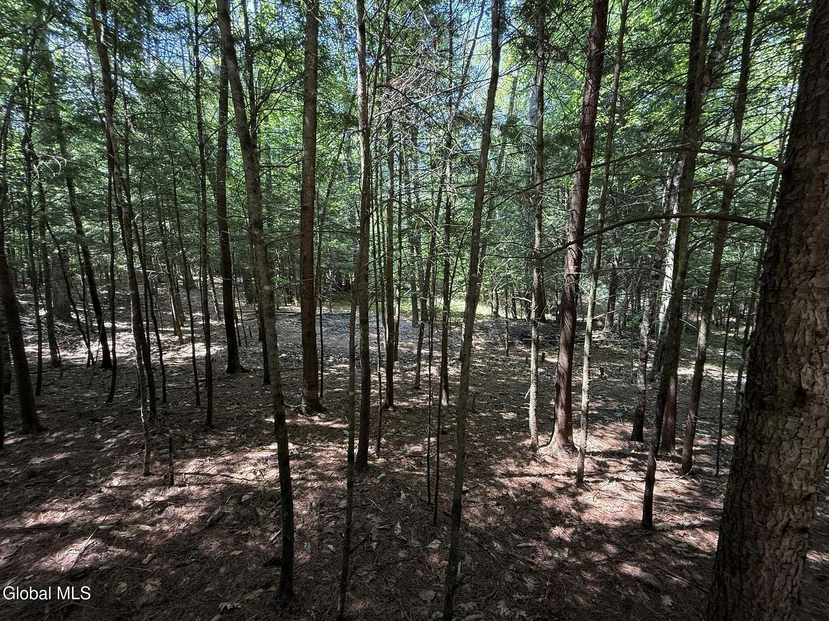 1.58 Acres of Residential Land for Sale in Lake Luzerne, New York