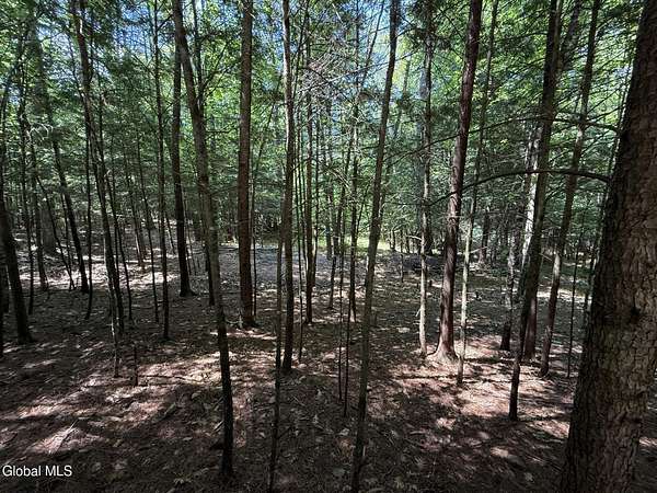 1.58 Acres of Residential Land for Sale in Lake Luzerne, New York