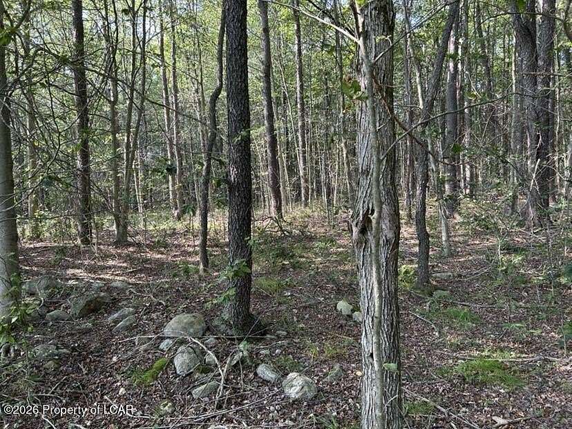 1 Acre of Residential Land for Sale in Forkston, Pennsylvania