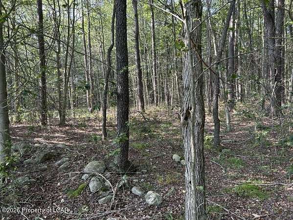 1 Acre of Residential Land for Sale in Forkston, Pennsylvania