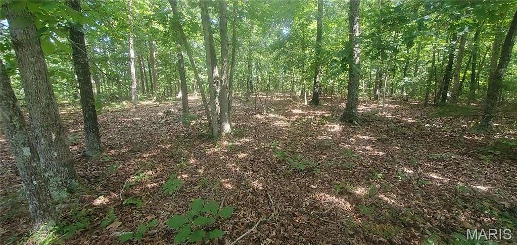 25 Acres of Land for Sale in Elk Creek, Missouri