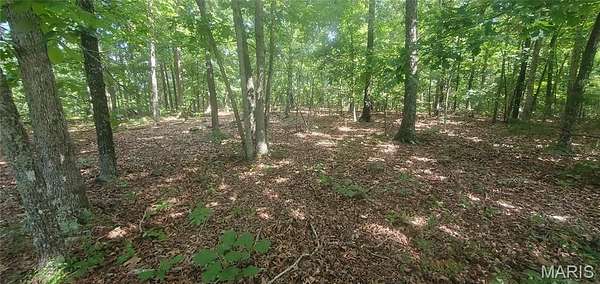 25 Acres of Land for Sale in Elk Creek, Missouri