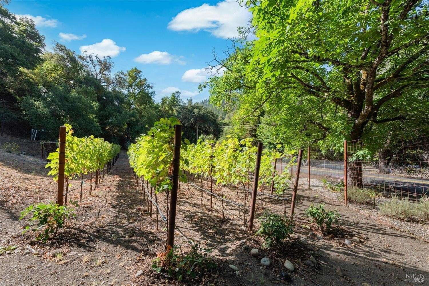 21.7 Acres of Agricultural Land with Home for Sale in Napa, California