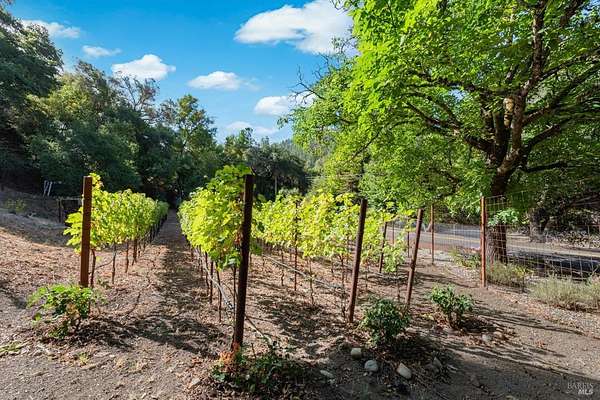 21.7 Acres of Agricultural Land with Home for Sale in Napa, California