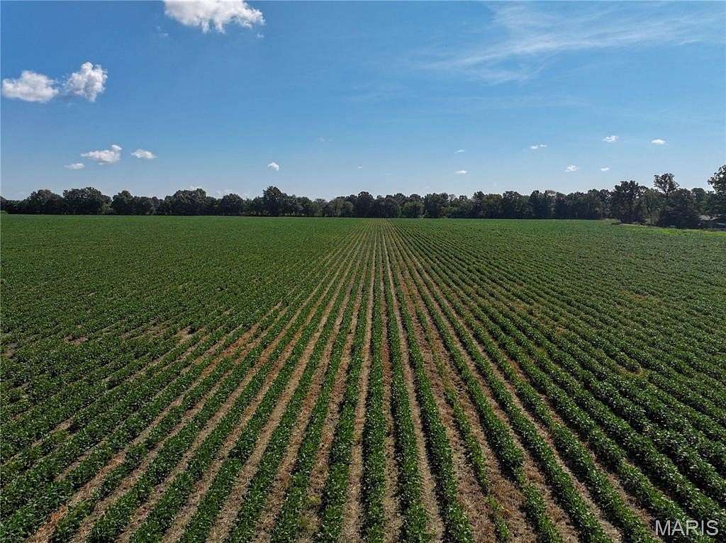 135 Acres of Improved Agricultural Land for Auction in Campbell, Missouri