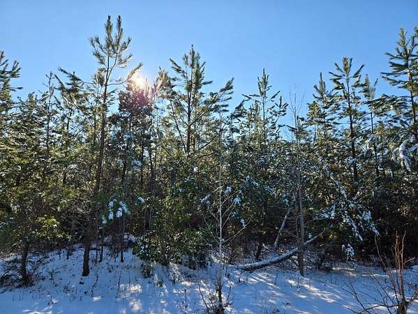 70 Acres of Recreational Land for Sale in Kents Store, Virginia