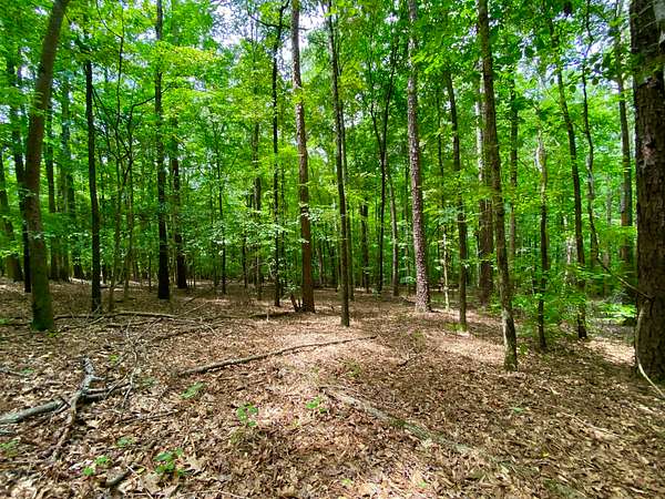 9 Acres of Residential Land for Sale in Coker, Alabama