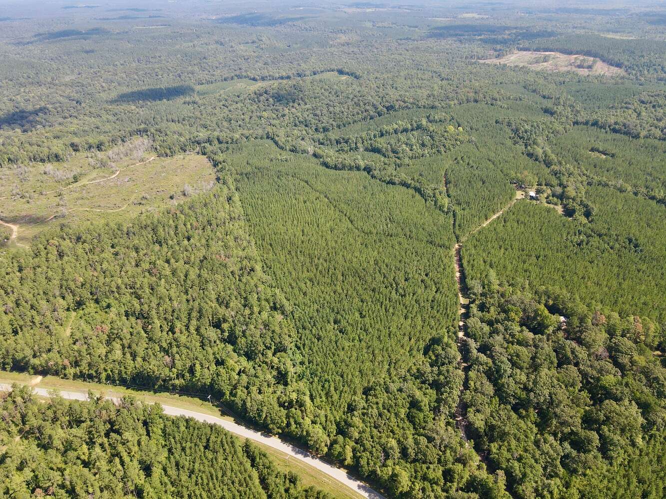 73 Acres of Land for Sale in Jackson, Alabama