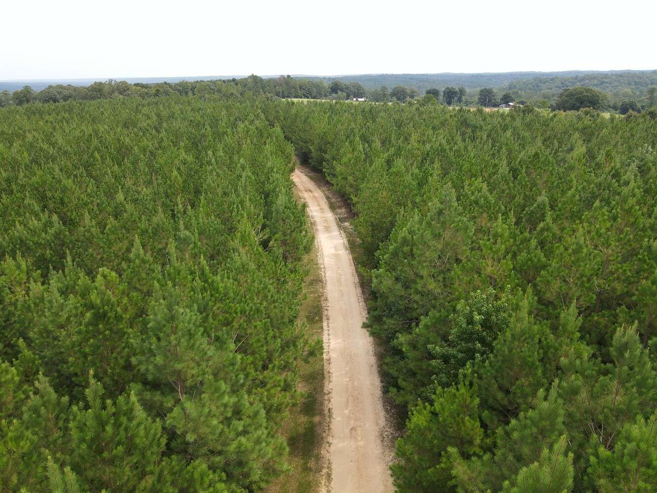 15 Acres of Land for Sale in Jackson, Alabama