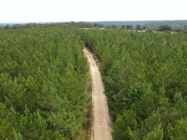 15 Acres of Land for Sale in Jackson, Alabama