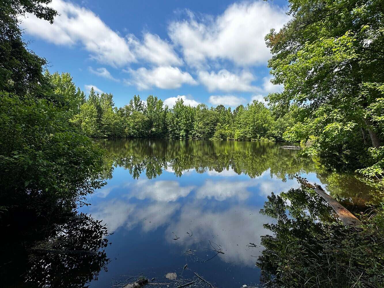 13 Acres of Recreational Land for Sale in Jones, Alabama
