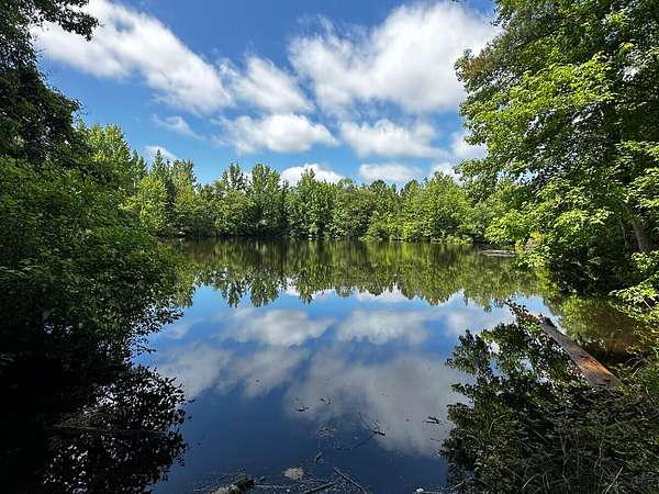 13 Acres of Recreational Land for Sale in Jones, Alabama