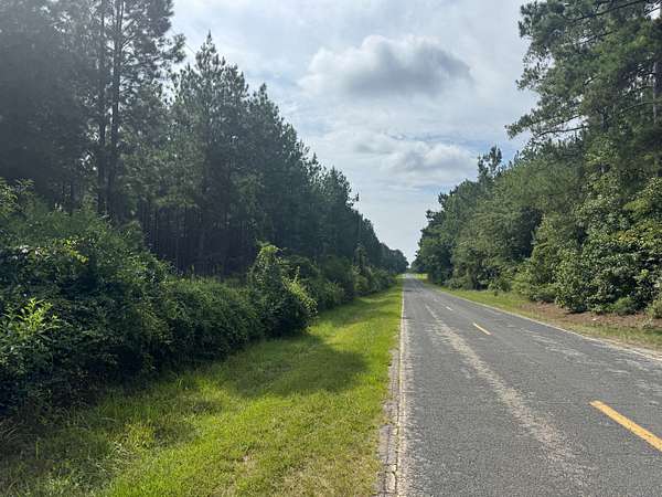 73 Acres of Recreational Land for Sale in Leeds, South Carolina