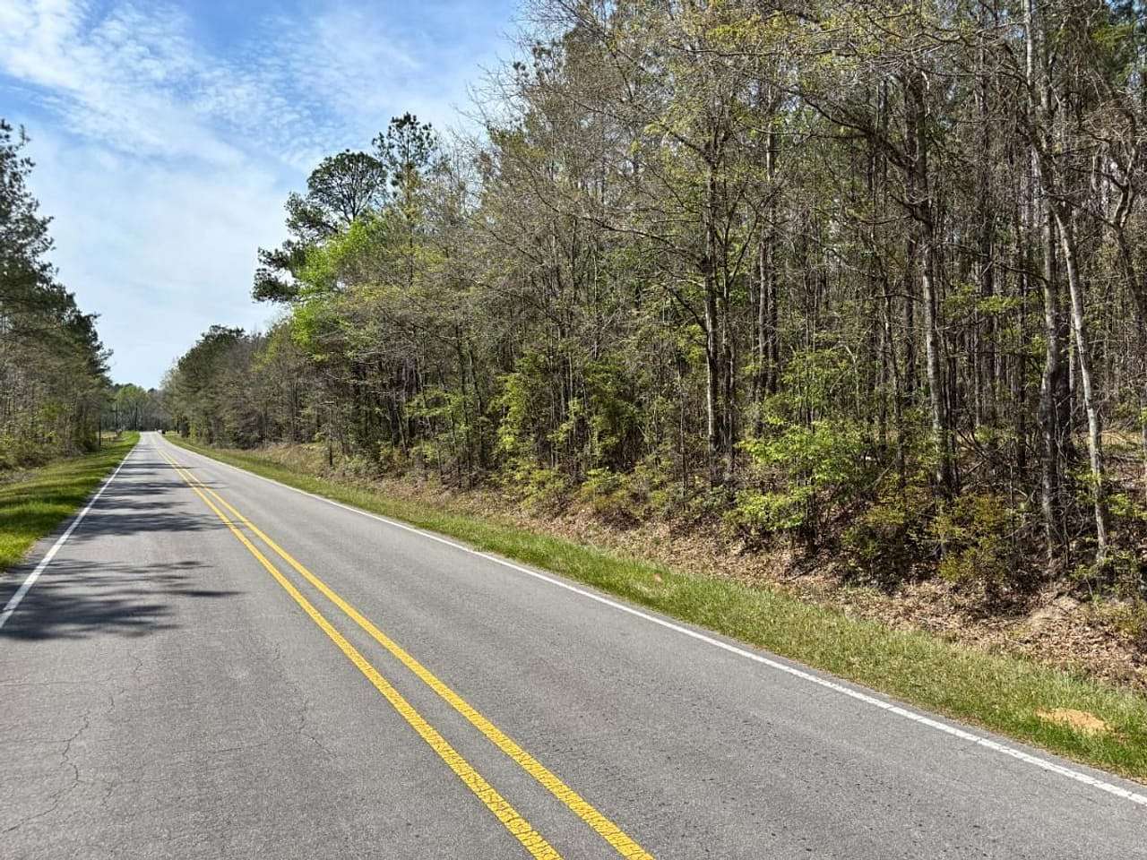 16.2 Acres of Recreational & Residential Land for Sale in Shubuta, Mississippi