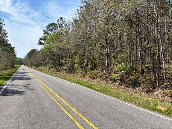 16.2 Acres of Recreational & Residential Land for Sale in Shubuta, Mississippi