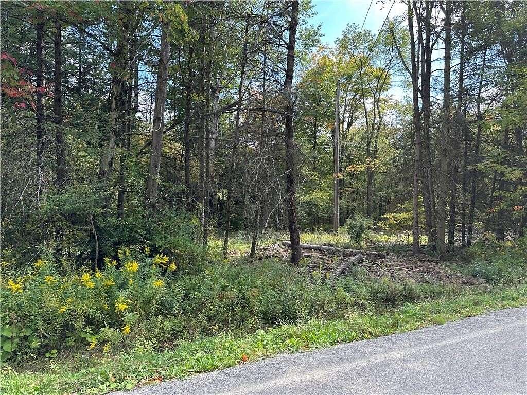 5.25 Acres of Residential Land for Sale in Alfred, New York