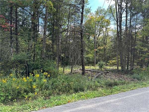5.25 Acres of Residential Land for Sale in Alfred, New York