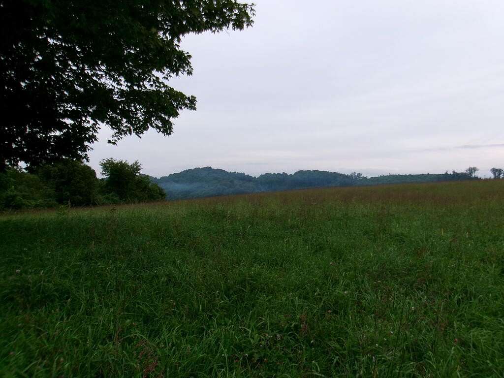 90 Acres of Land for Sale in North Tazewell, Virginia