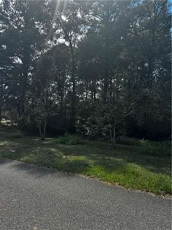 2 Acres of Residential Land for Sale in Mount Vernon, Alabama