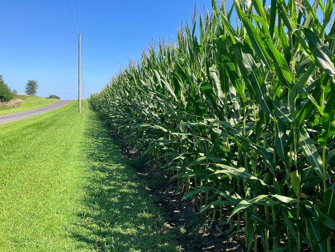 228 Acres of Land for Sale in Sheffield, Illinois