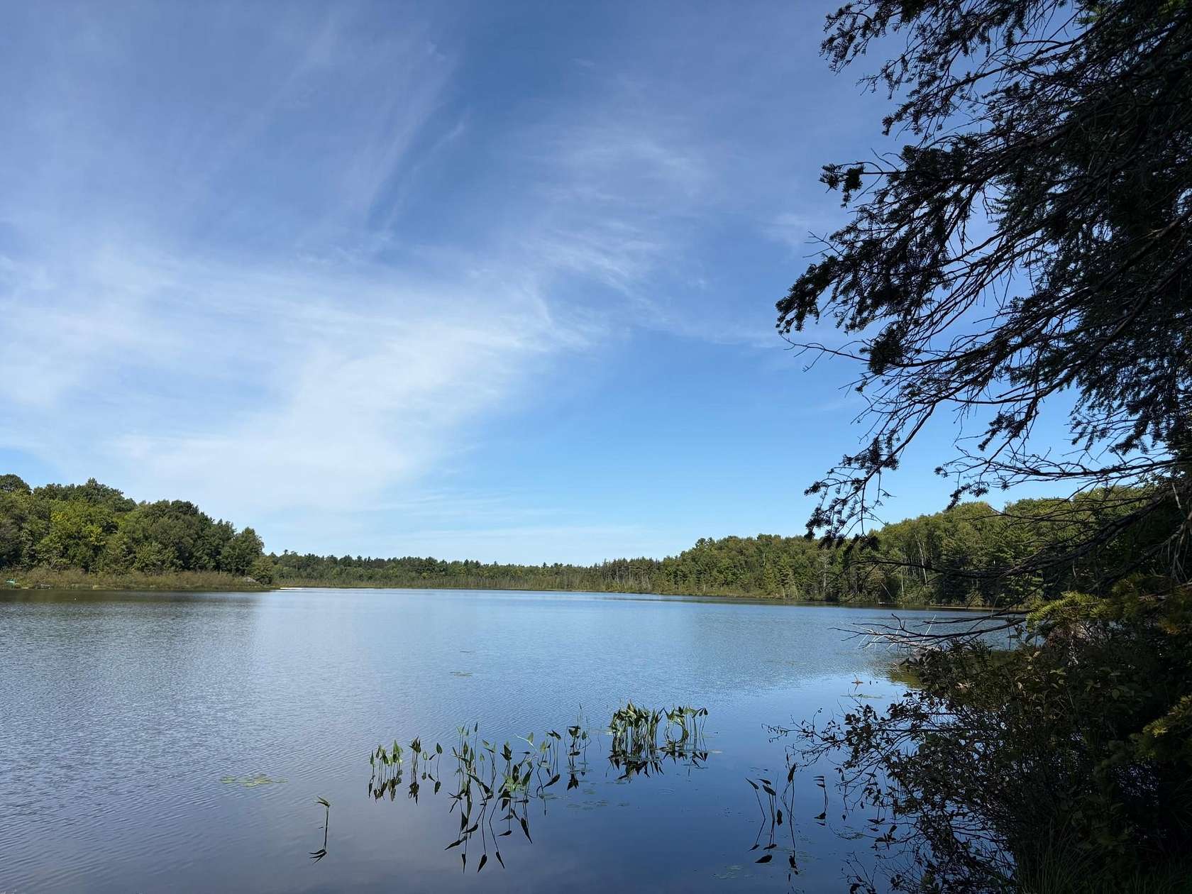 1.43 Acres of Land for Sale in Minocqua, Wisconsin