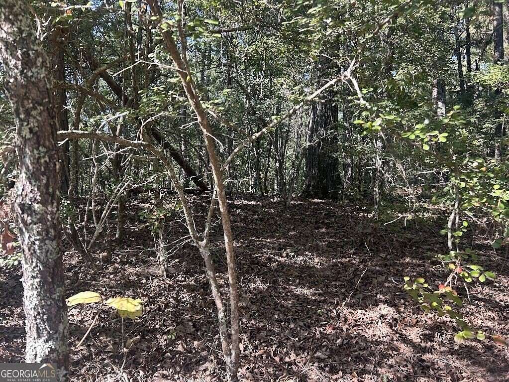9 Acres of Land for Sale in Whitesburg, Georgia