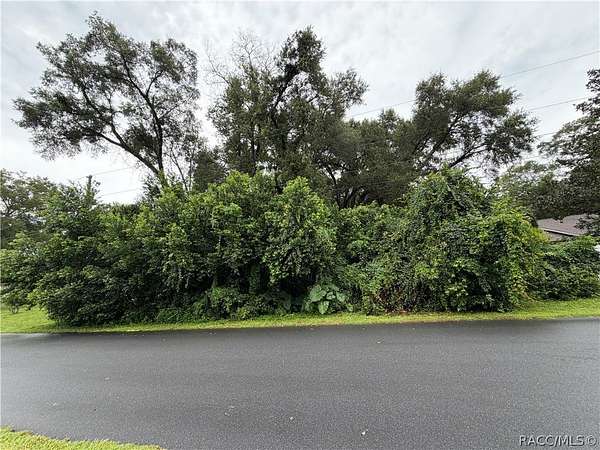 0.22 Acres of Residential Land for Sale in Inverness, Florida