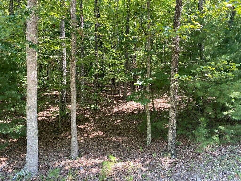 7 Acres of Land for Sale in Blairsville, Georgia