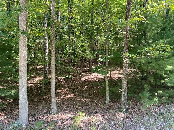 7 Acres of Land for Sale in Blairsville, Georgia