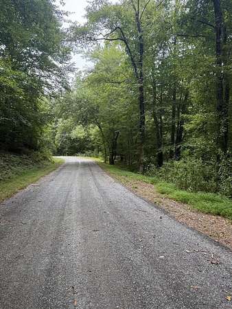 45.8 Acres of Land for Sale in Hayesville, North Carolina