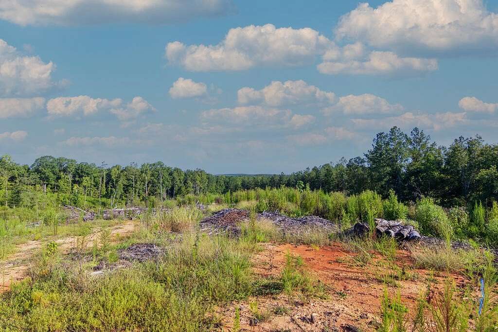42.6 Acres of Recreational & Residential Land for Sale in Woodland, Georgia