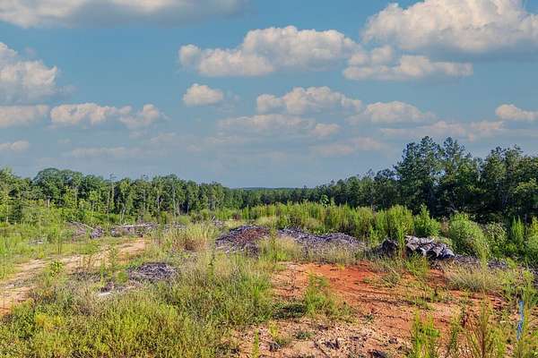 42.6 Acres of Recreational & Residential Land for Sale in Woodland, Georgia