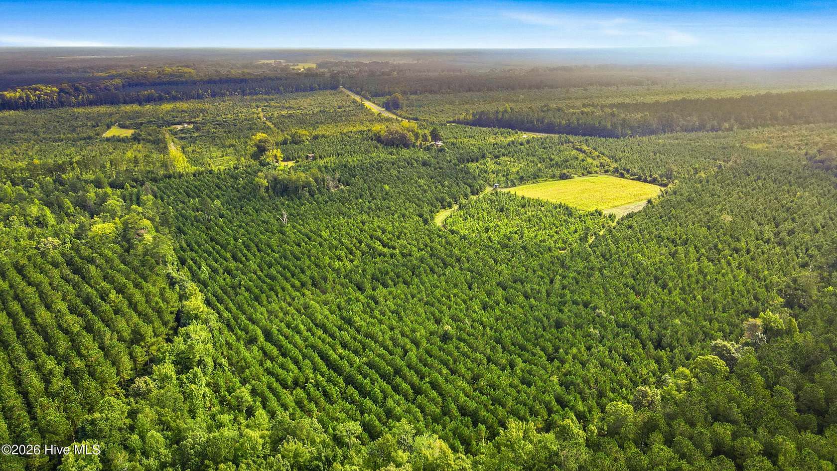 215 Acres of Recreational & Residential Land for Sale in Vanceboro, North Carolina
