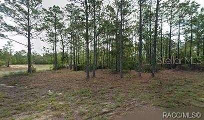 0.28 Acres of Residential Land for Sale in Citrus Springs, Florida