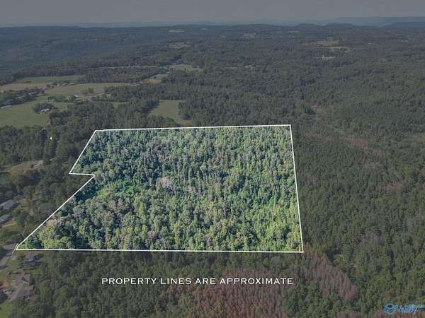 35 Acres of Recreational & Residential Land for Sale in Union Grove, Alabama