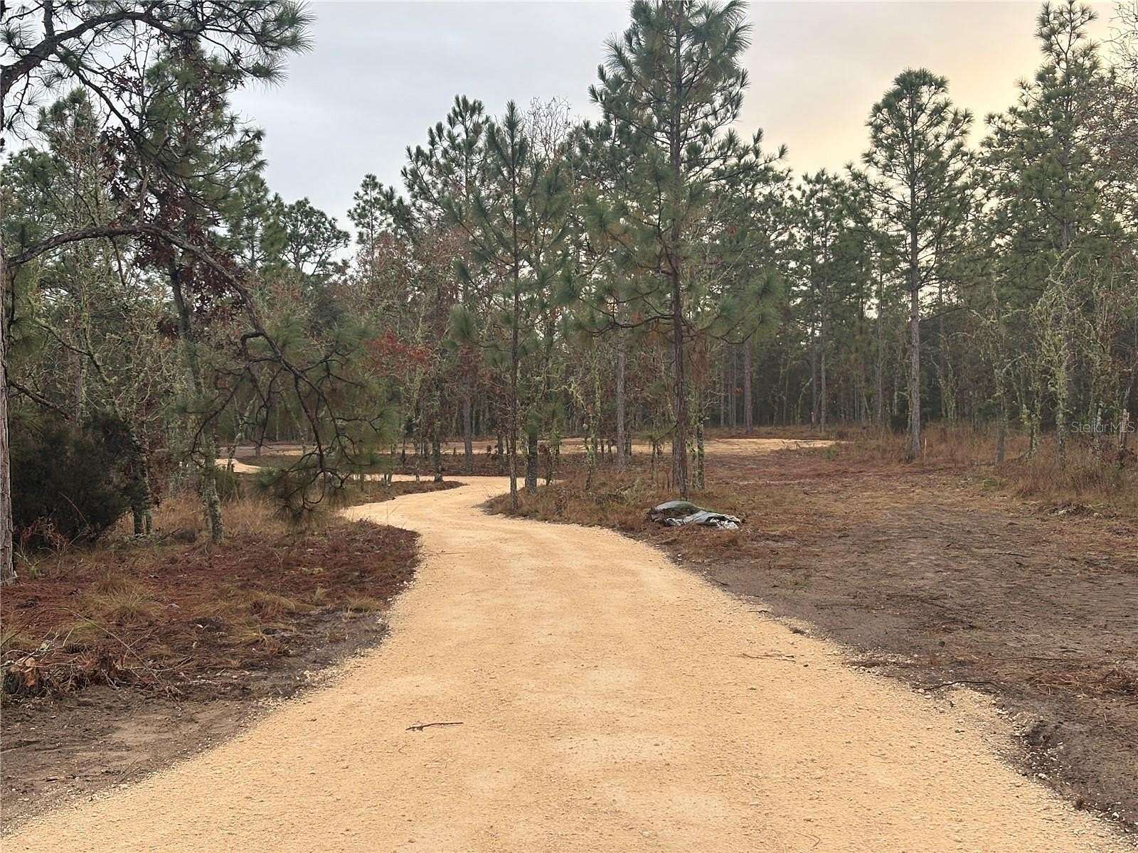 1.25 Acres of Residential Land for Sale in Williston, Florida