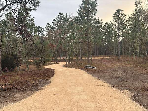 1.25 Acres of Residential Land for Sale in Williston, Florida