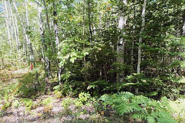 2.8 Acres of Residential Land for Sale in Newcastle, Maine