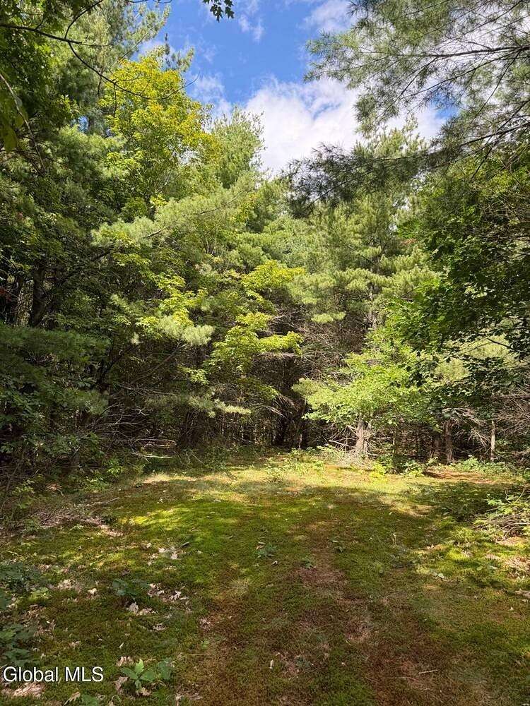 6.7 Acres of Land for Sale in Berne, New York